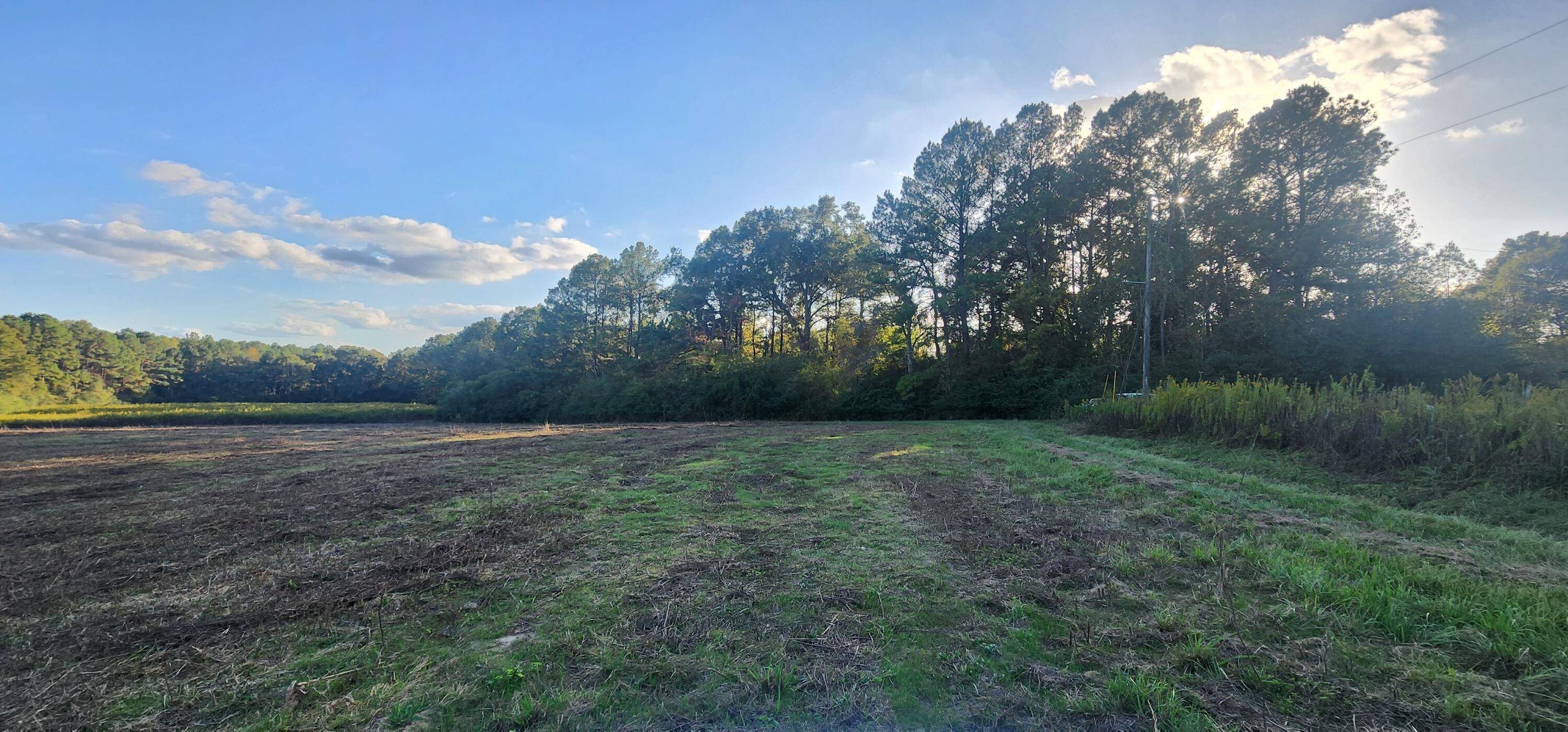 Sumrall, MS 39482,721 J D Broome Rd.