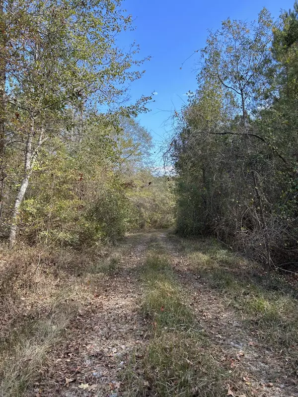 Pachuta, MS 39347,88 Co Rd 228