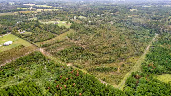 Sandy Hook, MS 39478,Parcel 1 Johnson Rd.