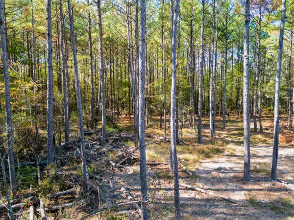 Soso, MS 39480,02 Centerville Rd.