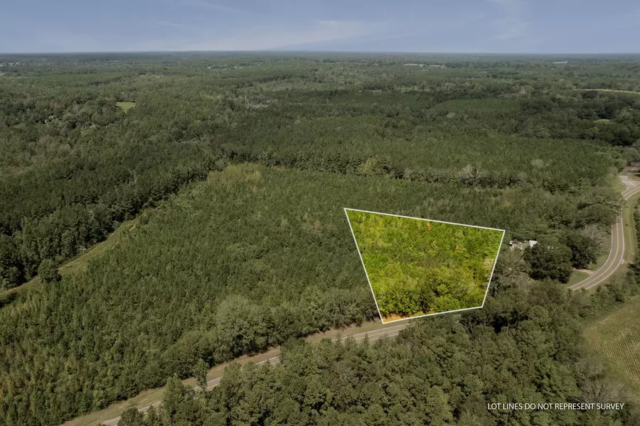 Parcel 5 Coppers Ford Rd., Tylertown, MS 39677