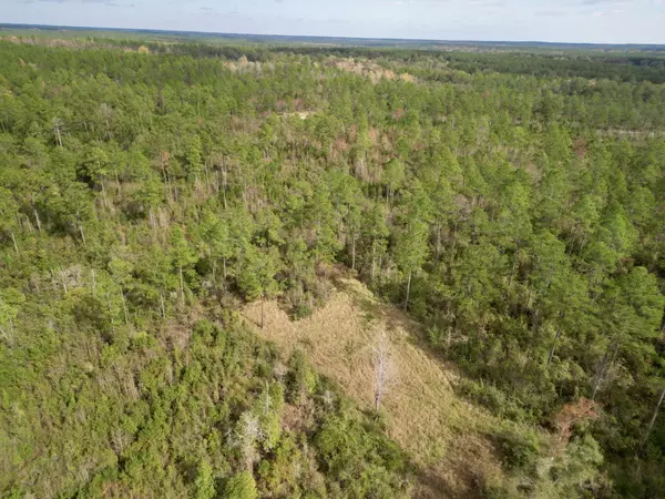 Poplarville, MS 39470,0 Stanford Lake Rd