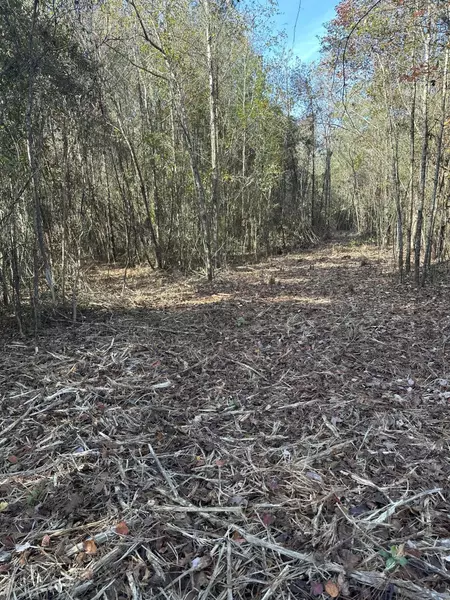 B Burger Rd., Petal, MS 39465