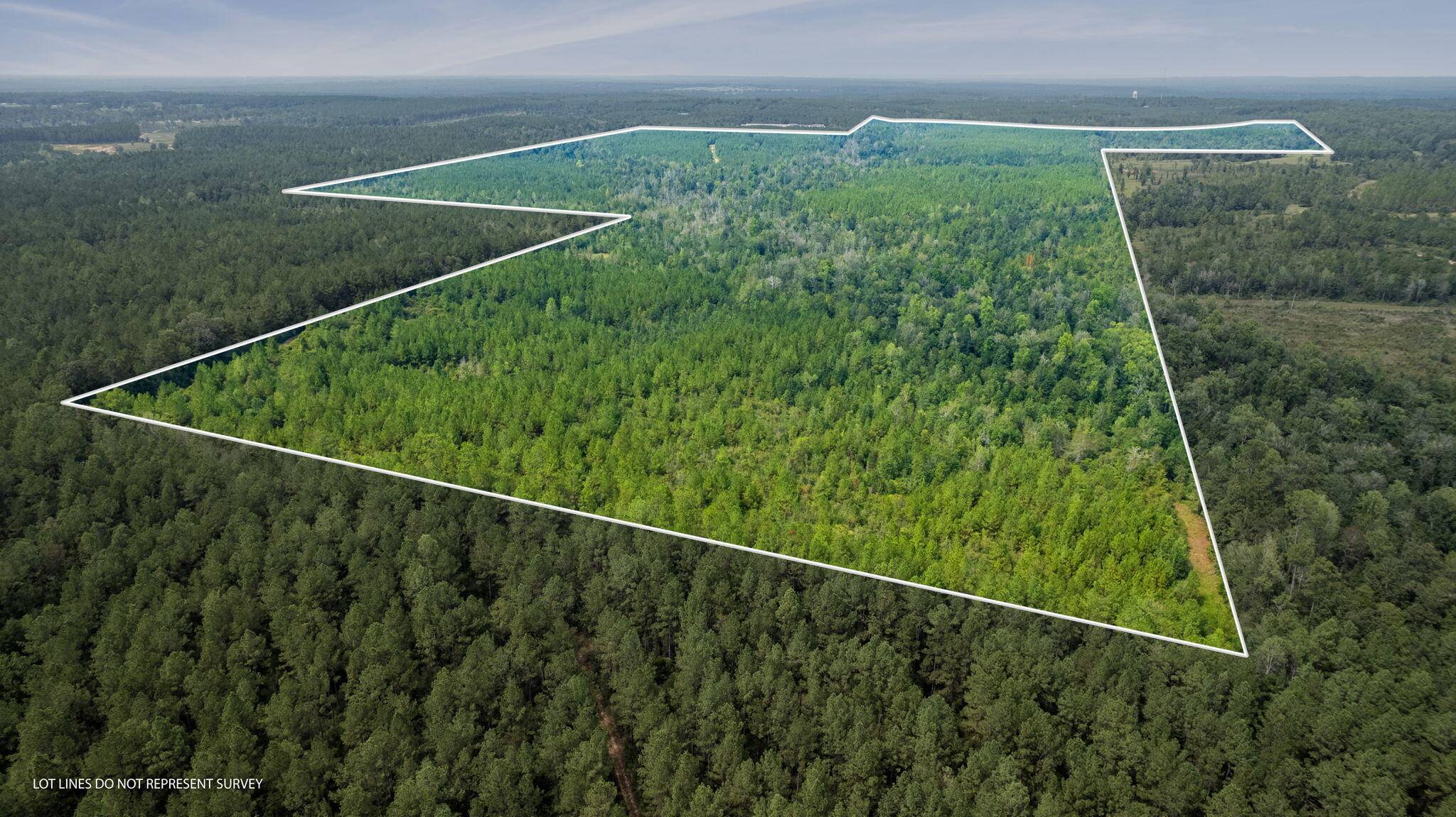 Purvis, MS 39475,000 Rockhill To Lumberton Rd.