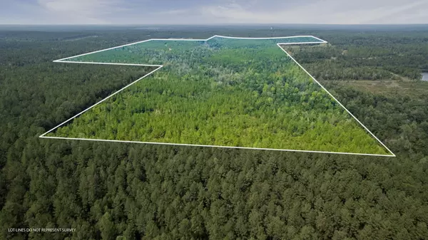 Purvis, MS 39475,000 Rockhill To Lumberton Rd.