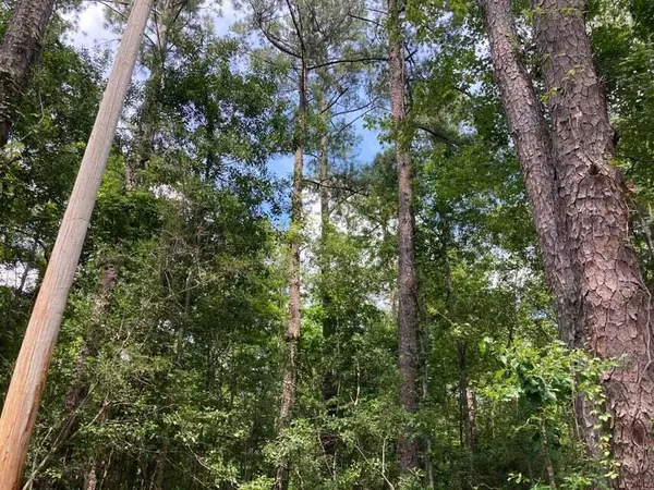 Brooklyn, MS 39425,9442 Janice to Brooklyn Rd.