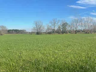 Petal, MS 39465,0 Morriston Rd.