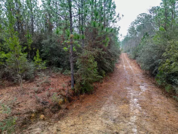 Lumberton, MS 39455,00 Stump Texas Rd.