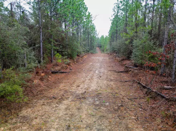 Lumberton, MS 39455,00 Stump Texas Rd.