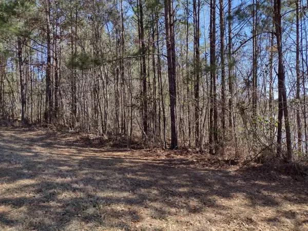 Lumberton, MS 39455,Lot #1 Ella PT