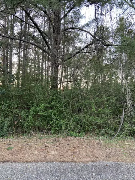 000 Frances St., Hattiesburg, MS 39402