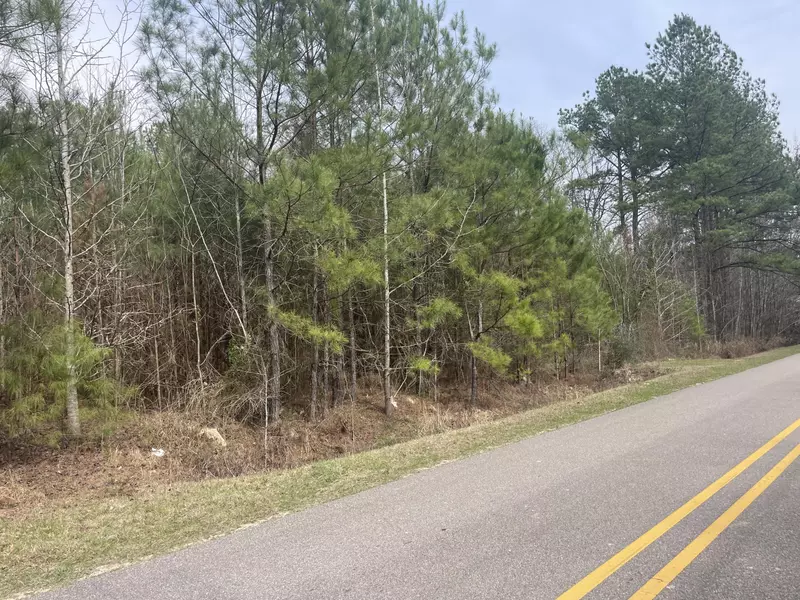 00 Old Hwy 15 Rd., Ellisville, MS 39437