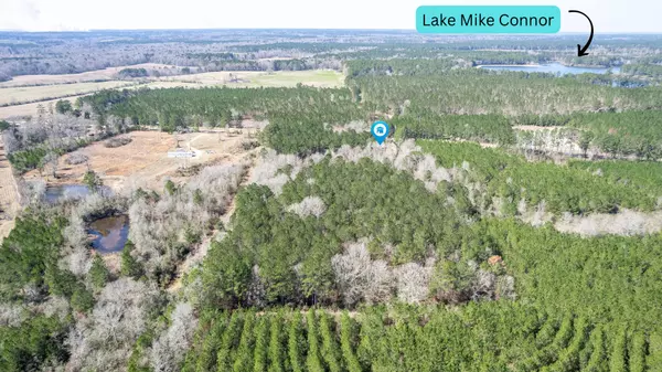 Collins, MS 39428,130 Lake Mike Conner