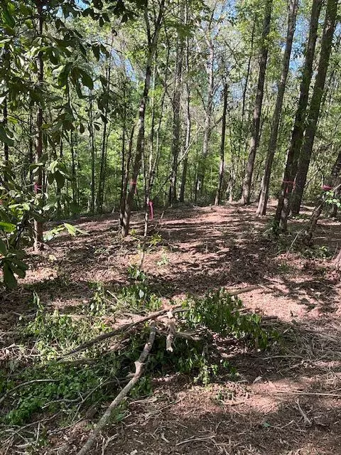 Sandy Hook, MS 39478,001 A Pittman