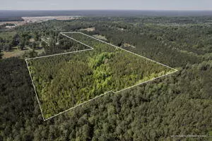 Brooklyn, MS 39425,35.8 ac Pearces Rd.