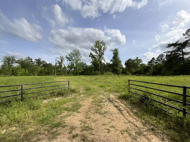 5 Acres County Line Rd., Columbia, MS 39429