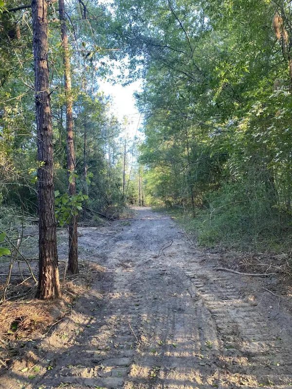 Poplarville, MS 39470,Tract 1 4.63 Acres Nelson Rd.