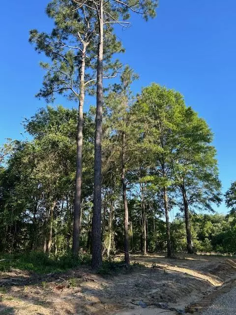 Poplarville, MS 39470,02 Savannah Millard Rd.