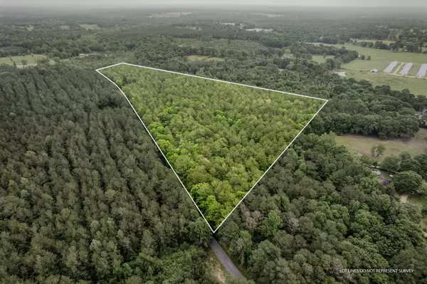 Seminary, MS 39479,22.5 Acres Noel Townsend Rd.