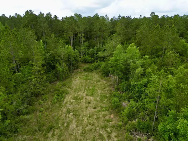 Carriere, MS 39426,00 George Wise Rd