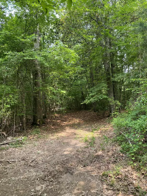 Oak Vale, MS 39656,60.77 Acre Mapp Turner Rd.