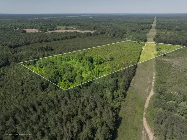 Bassfield, MS 39421,24 Acres Ridgeland Rd.