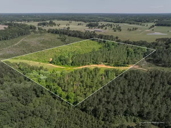 Bassfield, MS 39421,25 Acres Hwy 42