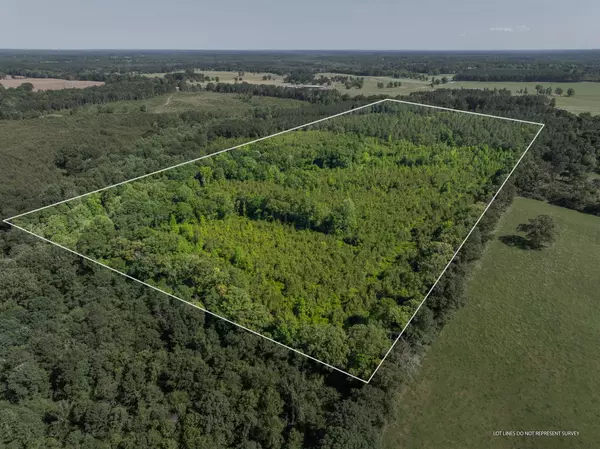 Bassfield, MS 39421,45 Acres Hwy 42