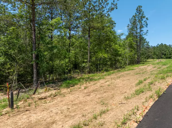 Lumberton, MS 39455,Lot #56 Bennett Point