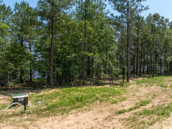Lumberton, MS 39455,Lot #66 Bennett Point