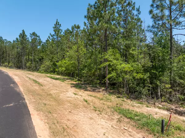 Lumberton, MS 39455,Lot #69 Bennett Point