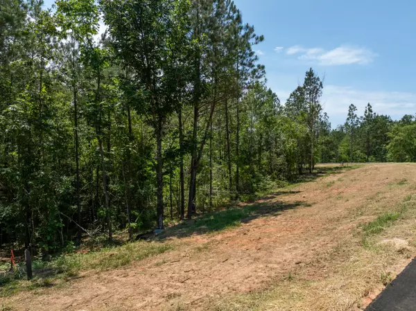 Lumberton, MS 39455,Lot #70 Red Wiggler Way