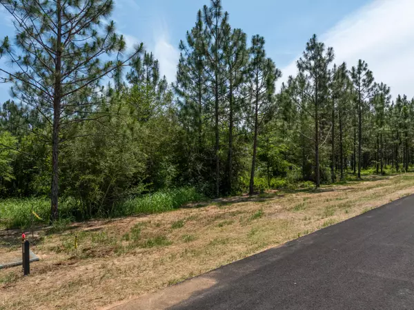 Lumberton, MS 39455,Lot #78 Red Wiggler Way