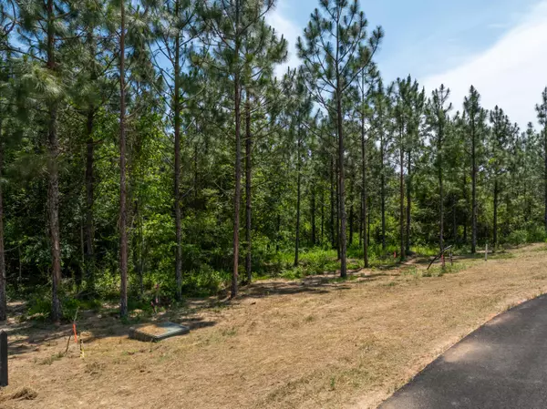 Lumberton, MS 39455,Lot #80 Red Wiggler Way