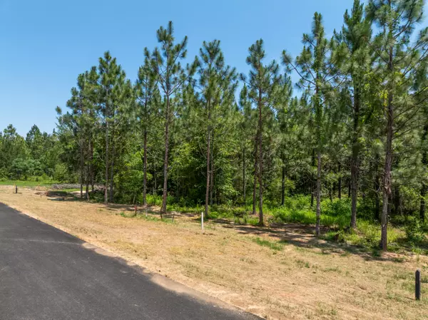 Lumberton, MS 39455,Lot #80 Red Wiggler Way