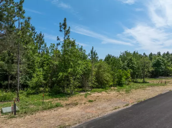 Lumberton, MS 39455,Lot #82 Red Wiggler Way