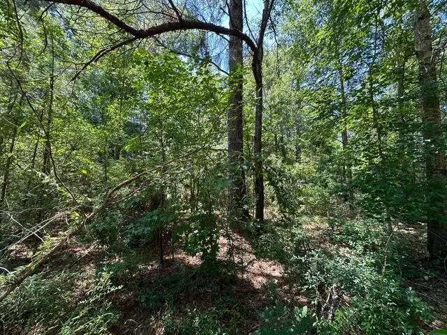 826 Purvis To Baxterville Rd., Purvis, MS 39475