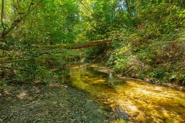 Moselle, MS 39459,00 Moselle-Seminary Rd.