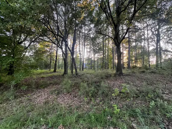 Lot 49 Serene Hills, Hattiesburg, MS 39402