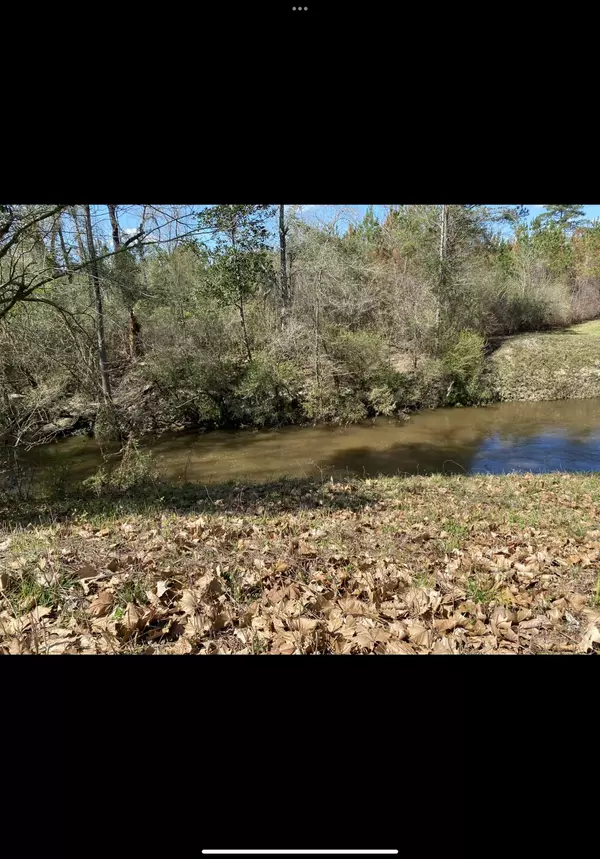 Columbia, MS 39429,Lot 3 5.07 Acres Fire Tower Rd.