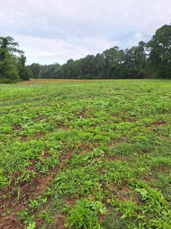 Columbia, MS 39429,Lot 8 4.95 Acres Fire Tower Rd.
