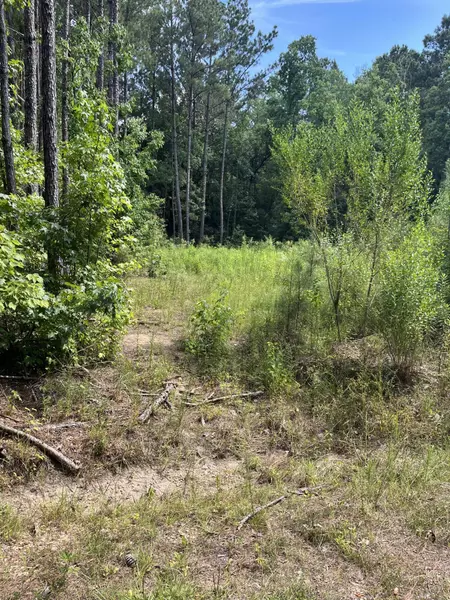 00 Maple Rd., Petal, MS 39465