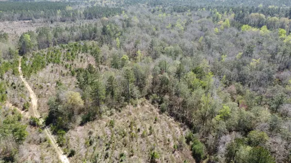 Lumberton, MS 39455,0 Otho Seals Rd.