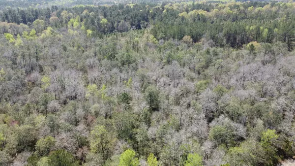 Lumberton, MS 39455,0 Otho Seals Rd.