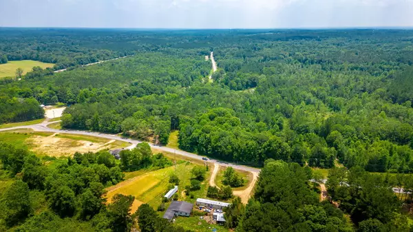 Seminary, MS 39479,000 Hwy 589