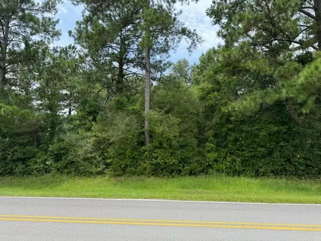 00 Oakdale Church Rd., Seminary, MS 39479