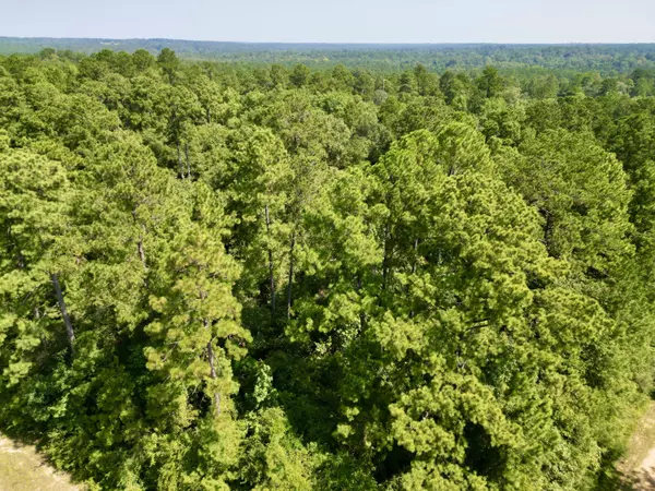 Poplarville, MS 39470,nhn Silver Run