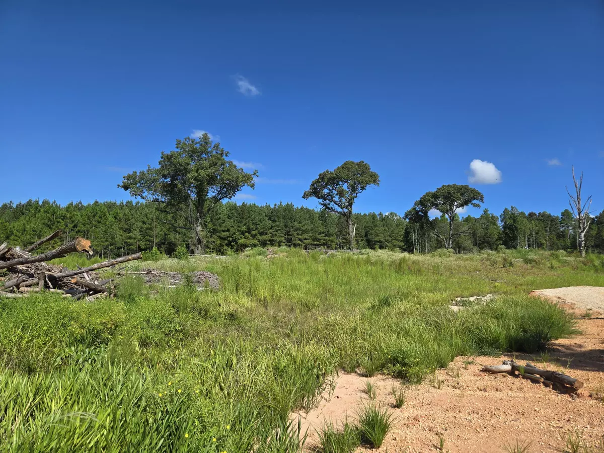 Purvis, MS 39475,00 Sapphire