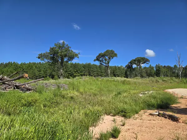 Purvis, MS 39475,00 Sapphire