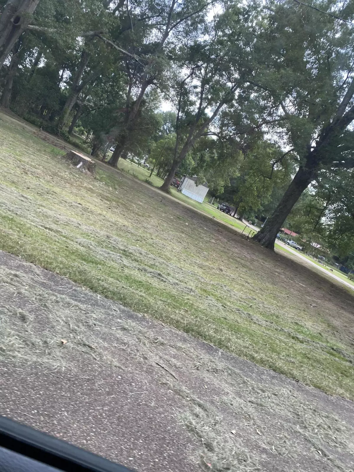 Collins, MS 39428,000 N Cherry Ave.